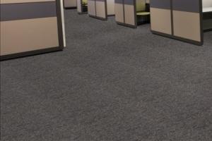 The Office Carpeting Hub | Competitive Commercial Carpet