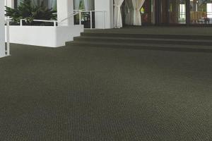 Indoor / Outdoor Carpet